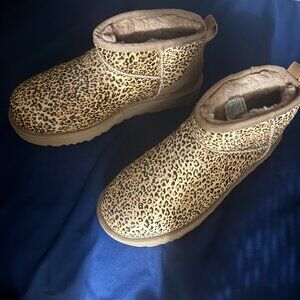 Brand New Never Worn UGGs